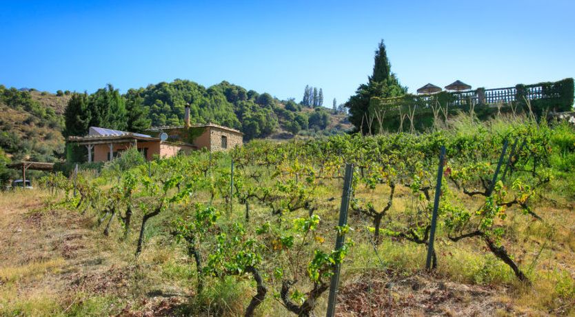 Photo of El Cerrillo - Cerro Negro