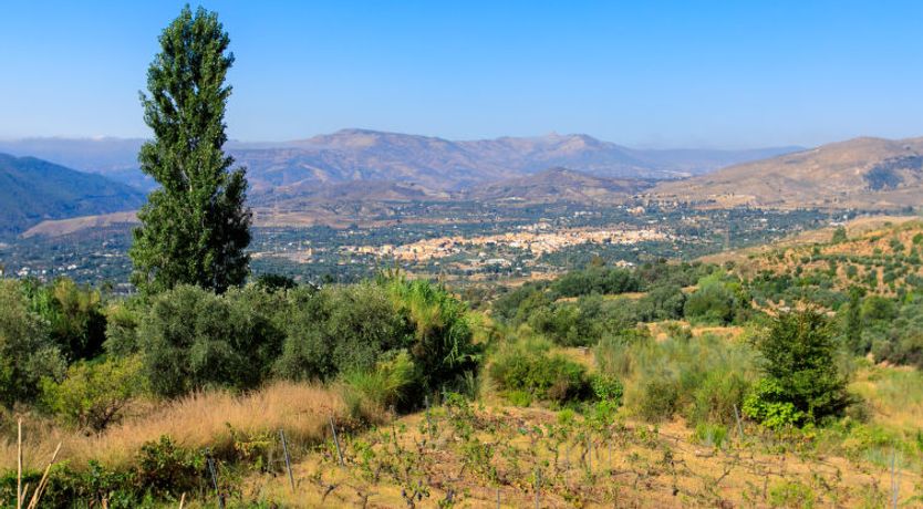 Photo of El Cerrillo - Cerro Negro