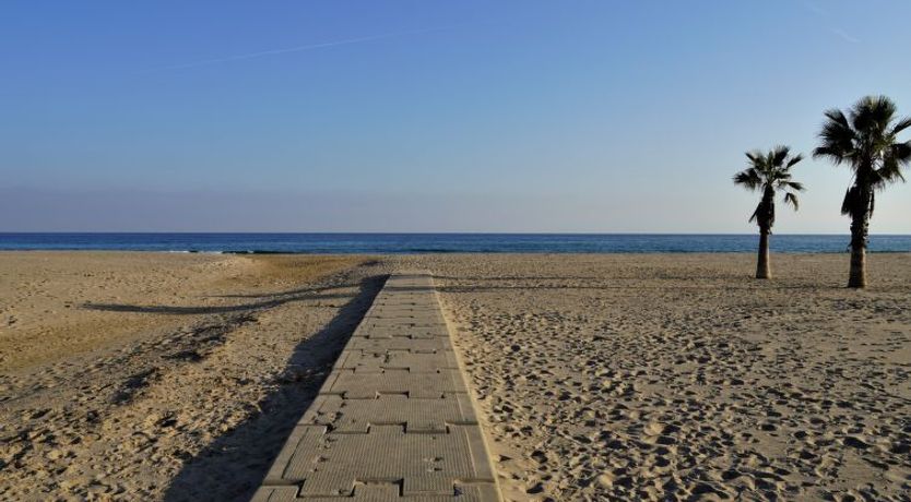 Photo of Torremar Alex