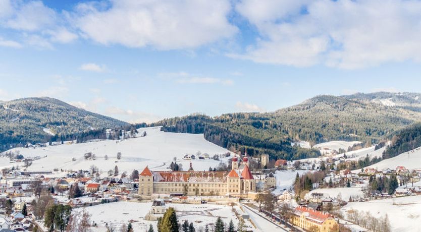 Photo of für 11 Personen mit Sauna oder IR-Sauna Apartment 3