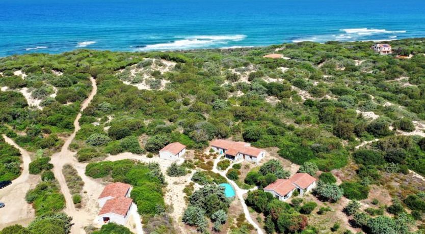 Photo of Mare di Ginepri (BAD115)