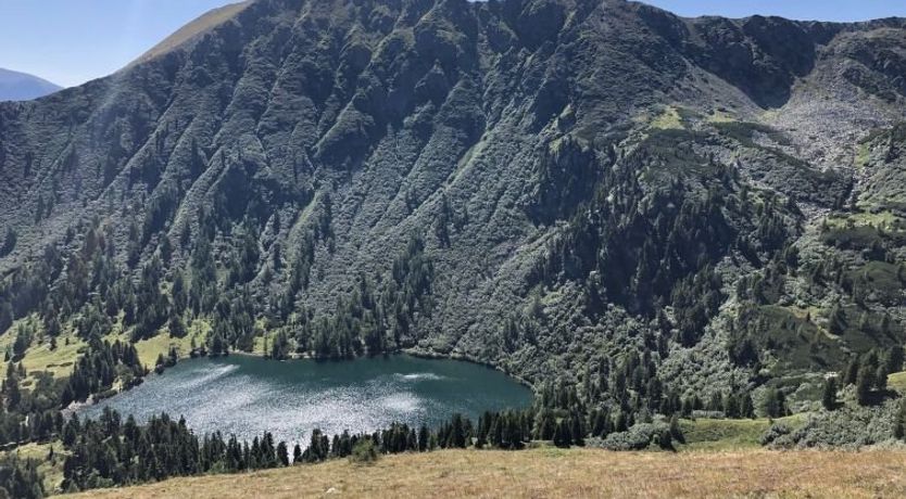 Photo of Superior #61 IR-Sauna Holiday Home 2