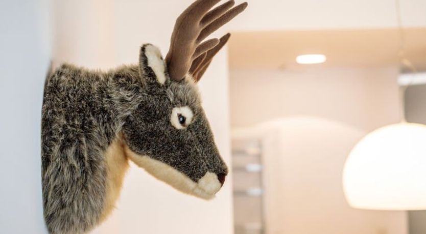 Photo of mit 1 Schlafzimmer & Saunabereich Apartment 7