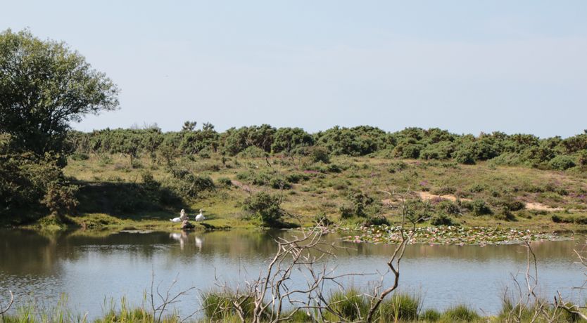 Photo of Curlew Cottage