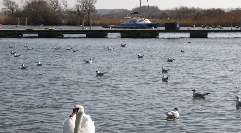 Photo of Curlew Cottage