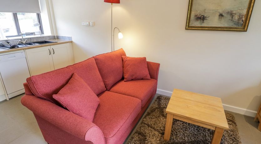 Photo of Kite's Nest