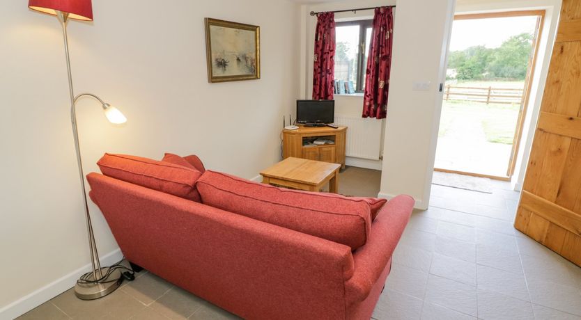 Photo of Kite's Nest