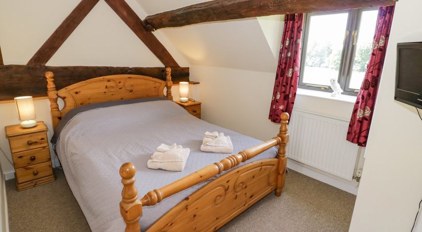 Photo of Kite's Nest