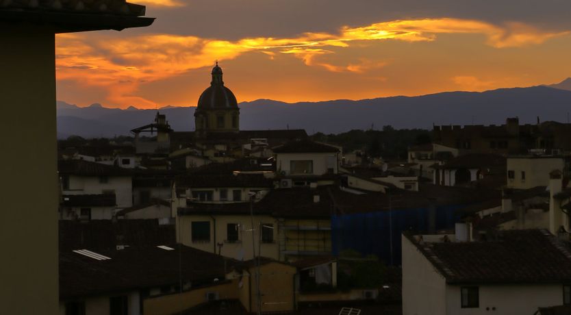 Photo of Aria to a Bird