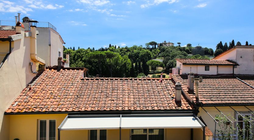 Photo of Aria to a Bird