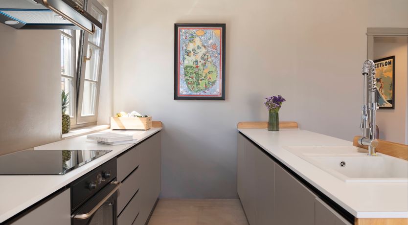 Photo of White Anthurium