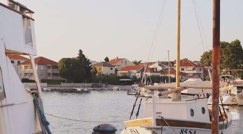 Photo of White Anthurium