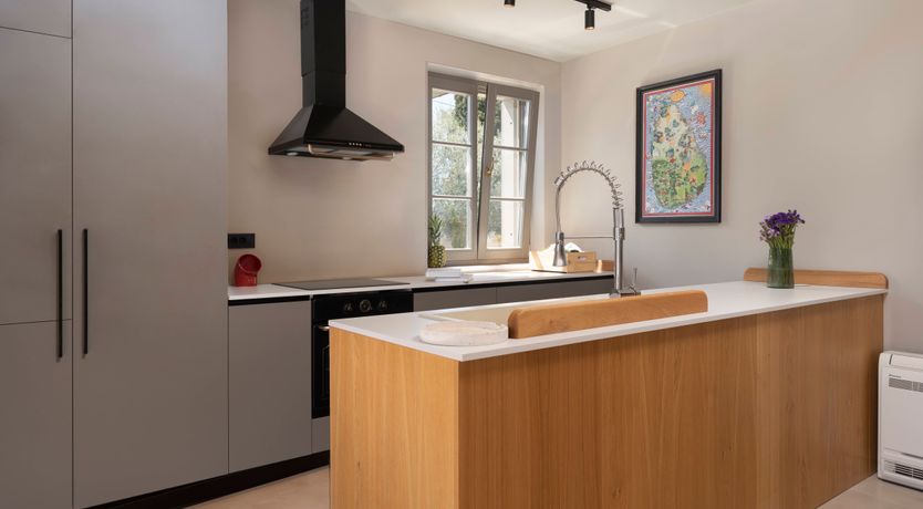 Photo of White Anthurium