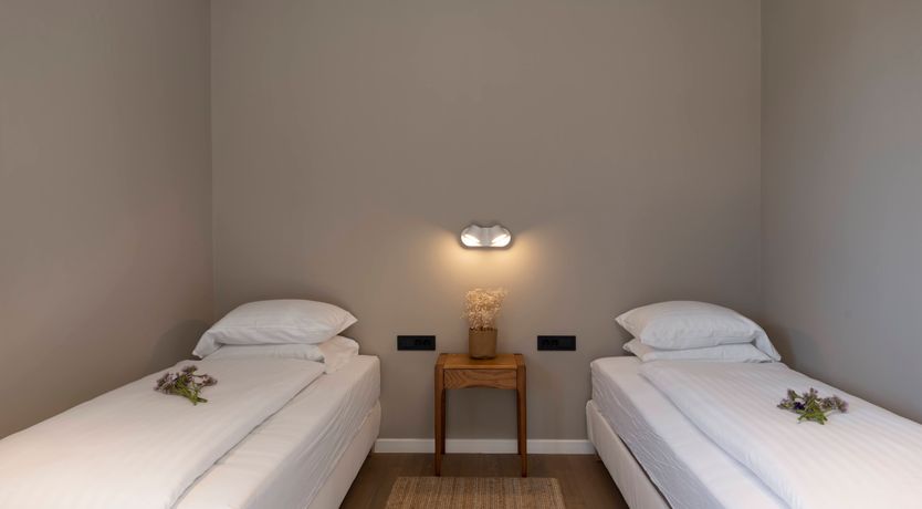 Photo of White Anthurium