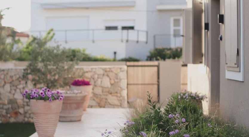 Photo of White Anthurium