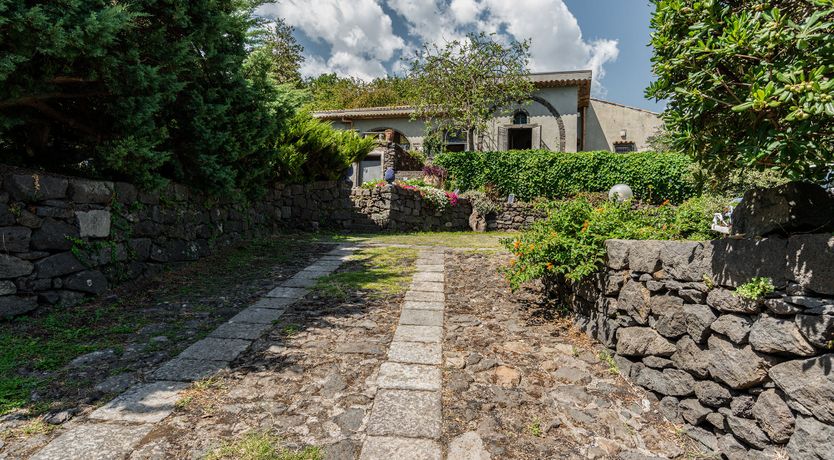 Photo of The Ancient Olive Press