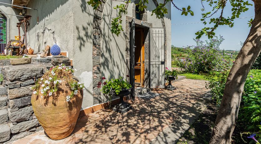Photo of The Ancient Olive Press