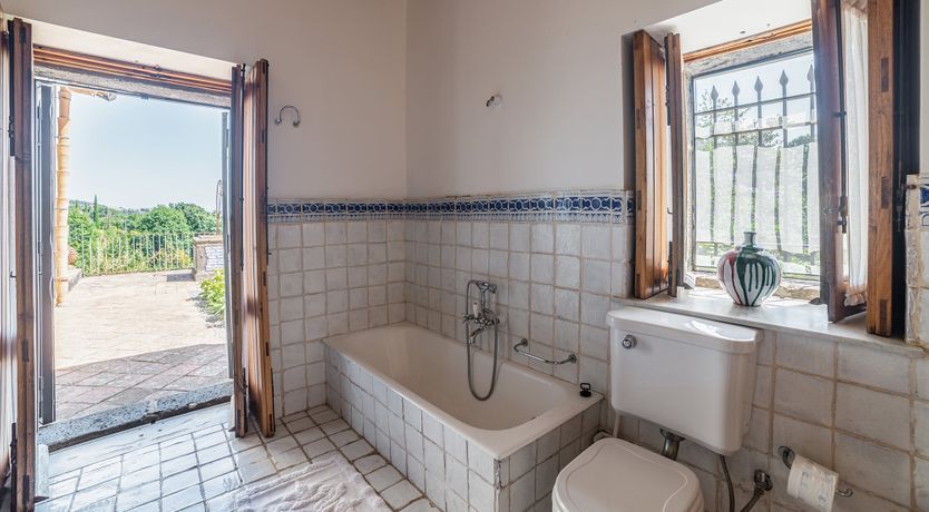 Photo of The Ancient Olive Press