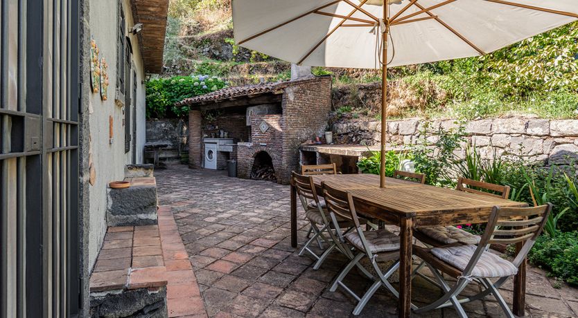 Photo of The Ancient Olive Press