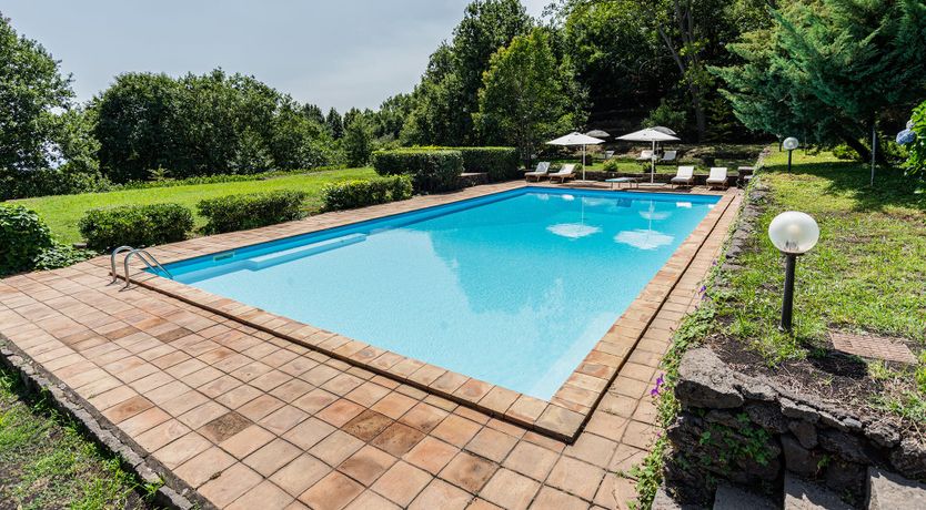 Photo of The Ancient Olive Press