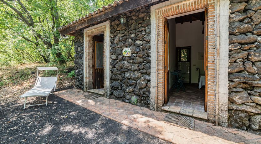 Photo of The Ancient Olive Press