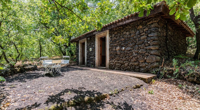 Photo of The Ancient Olive Press