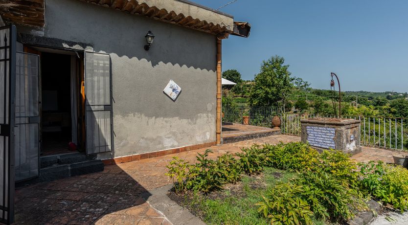 Photo of The Ancient Olive Press