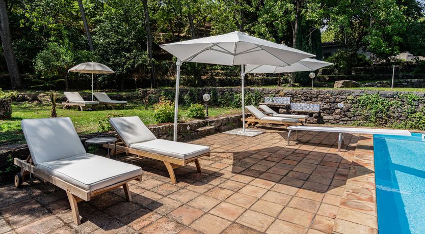 Photo of The Ancient Olive Press