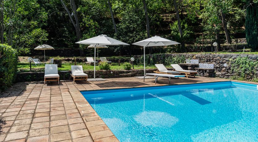 Photo of The Ancient Olive Press