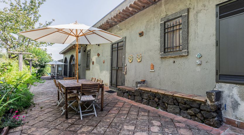 Photo of The Ancient Olive Press