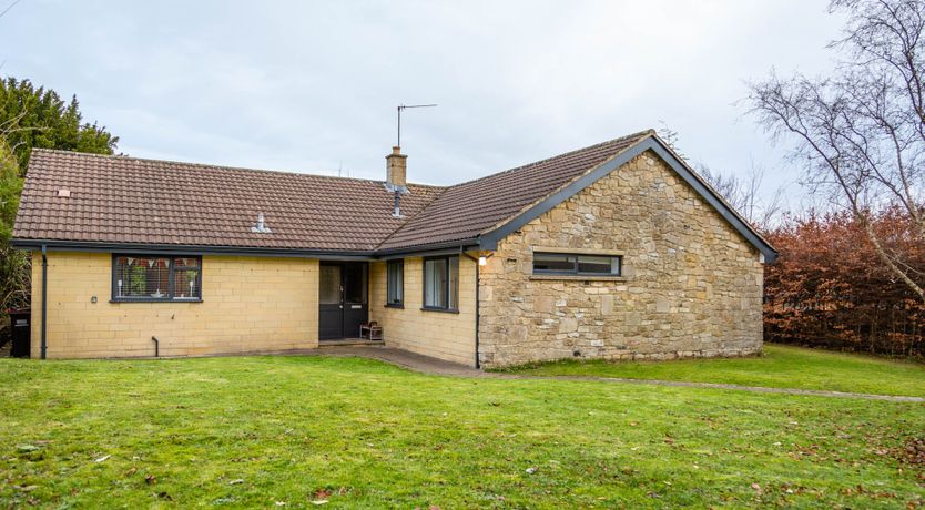 Photo of Head in the Flowers