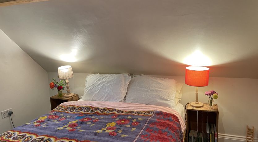 Photo of Green Leaves of Summer