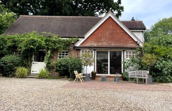 Green Leaves of Summer Holiday Cottage