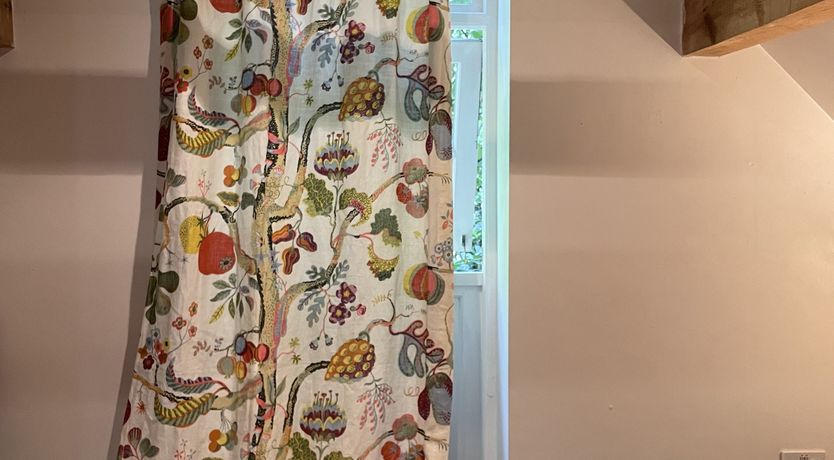 Photo of Green Leaves of Summer