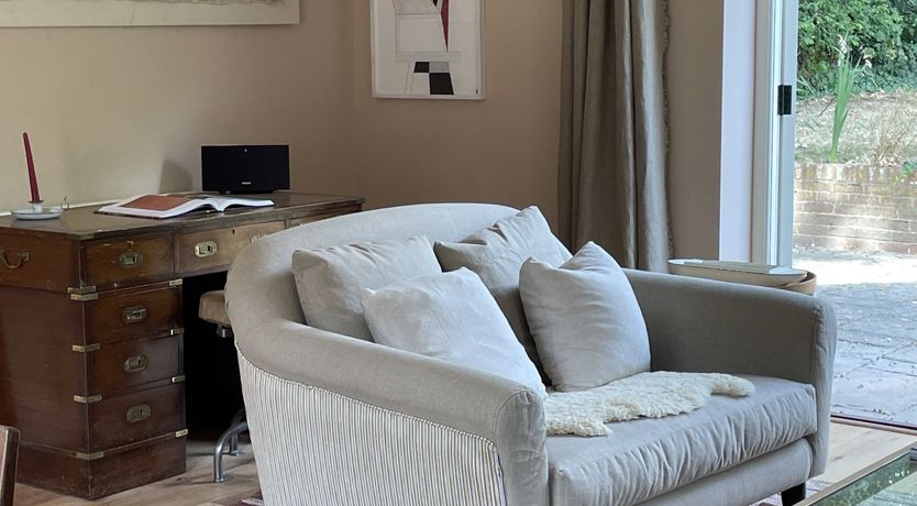 Photo of Green Leaves of Summer