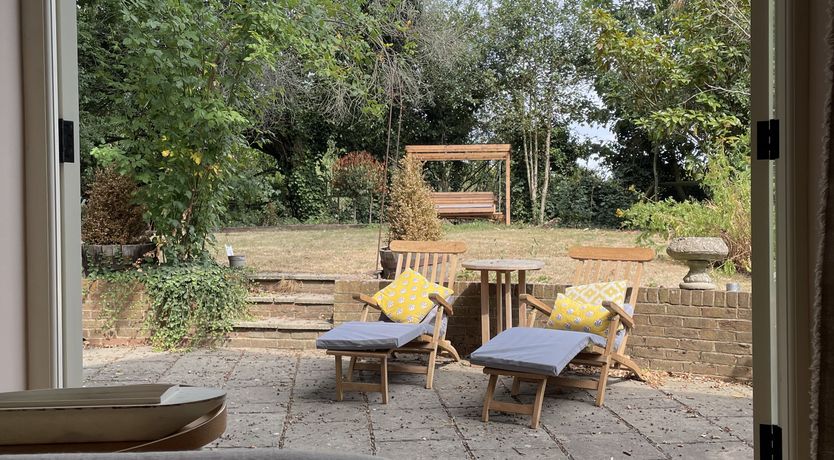 Photo of Green Leaves of Summer