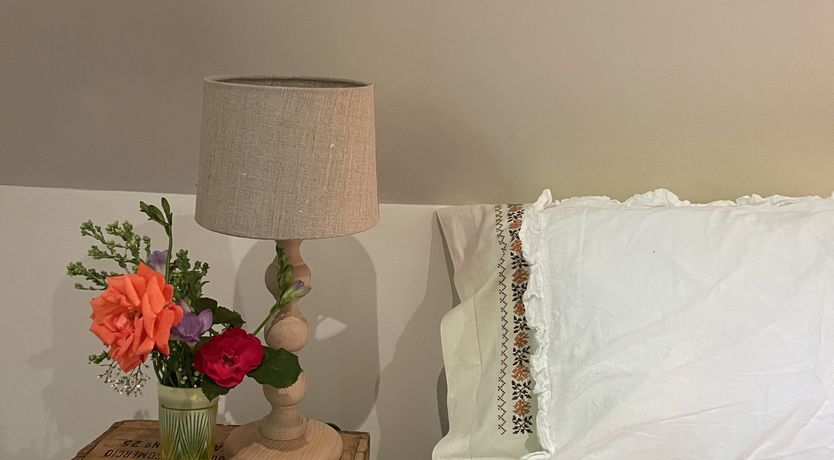 Photo of Green Leaves of Summer