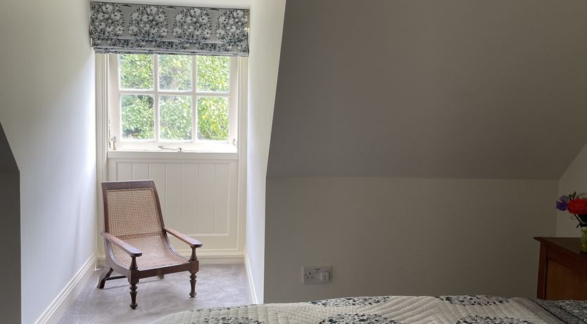 Photo of Green Leaves of Summer