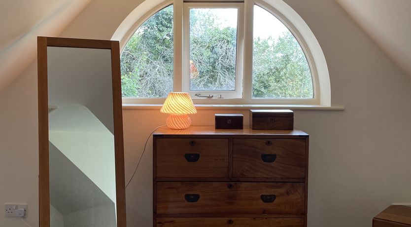 Photo of Green Leaves of Summer