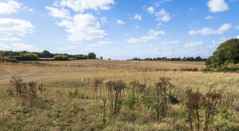 Photo of Not Your Average Cottage