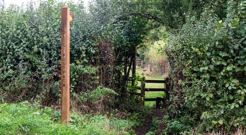 Photo of Miss Honey's Cottage