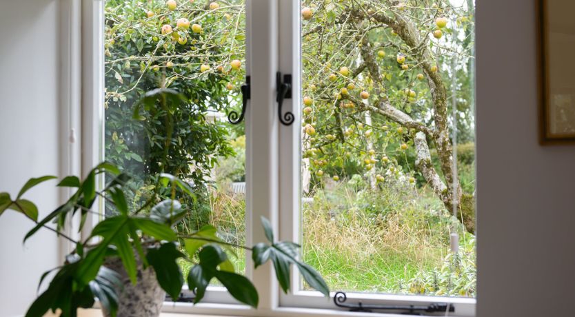 Photo of Miss Honey's Cottage