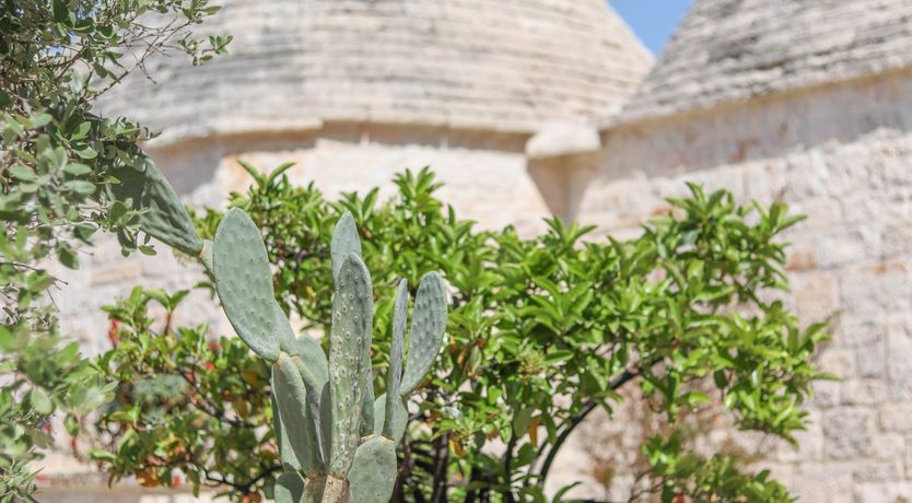 Photo of Bone-White Stone