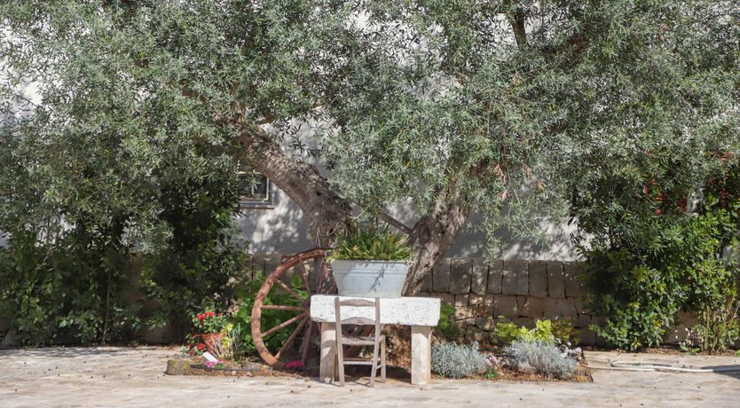 Photo of Bone-White Stone