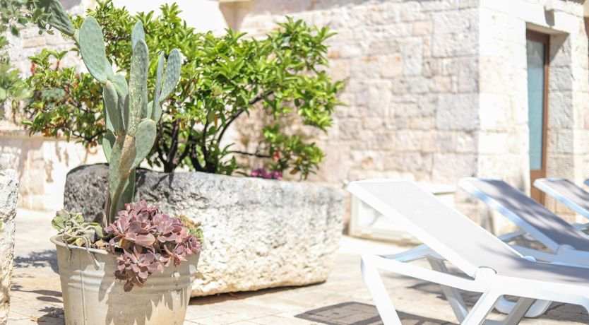 Photo of Bone-White Stone