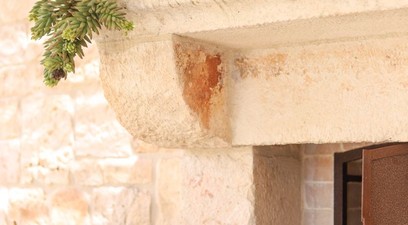 Photo of Bone-White Stone