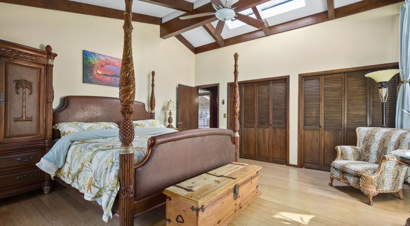 Photo of Redwood & Palm