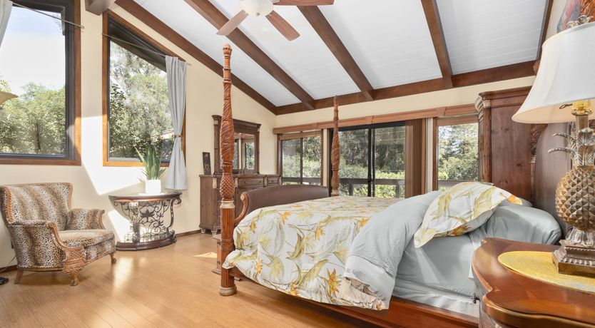 Photo of Redwood & Palm