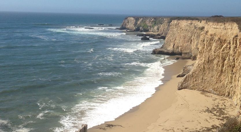 Photo of Redwood & Palm