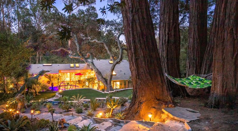 Photo of Redwood & Palm